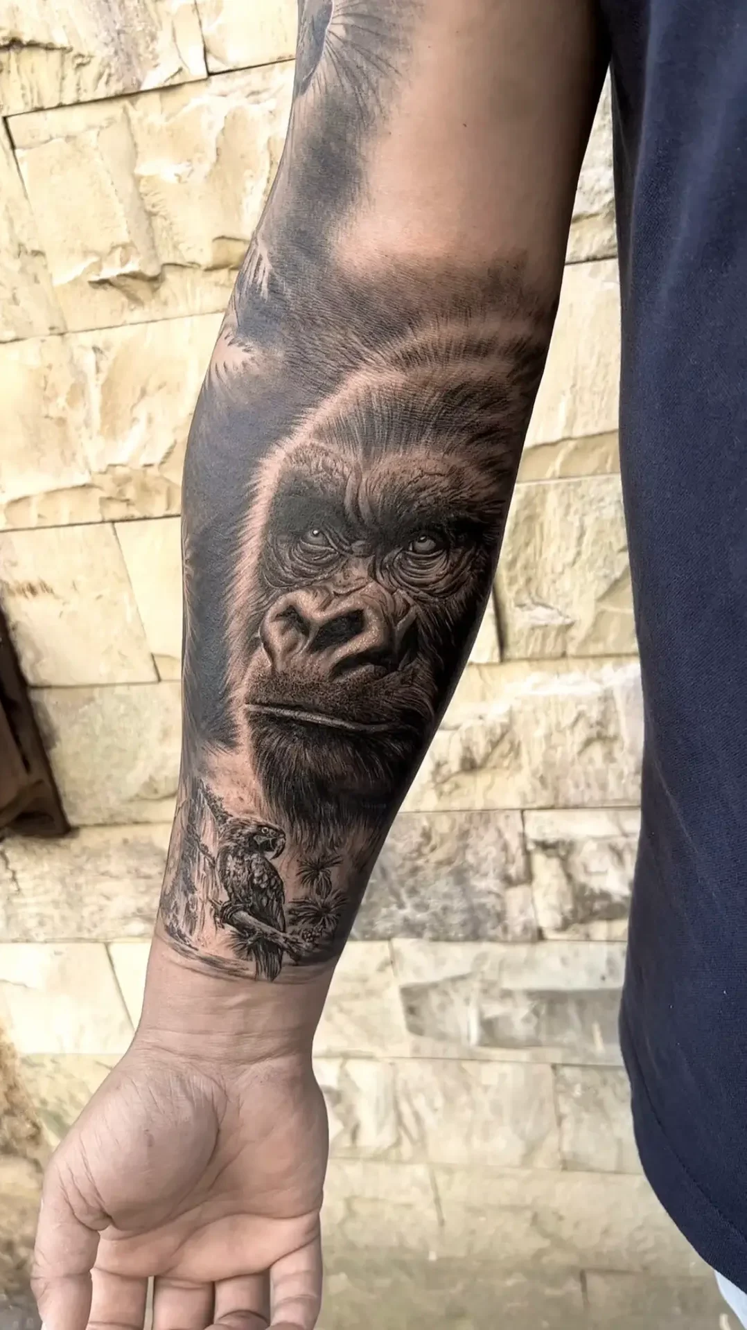 Tatouage animalier gorille réalisme, réalisé par DADDINK au salon de Tatouage LA FRATRIE TATTOO à Nice