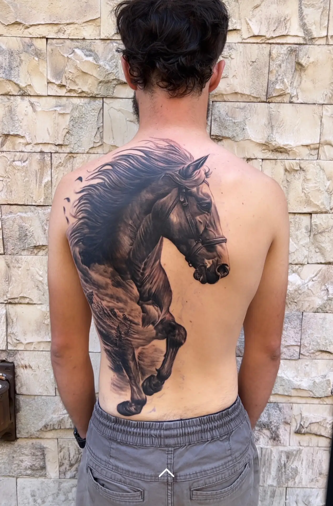 tatouage cheval daddink la fratrie tattoo à nice - Tatoueur Nice