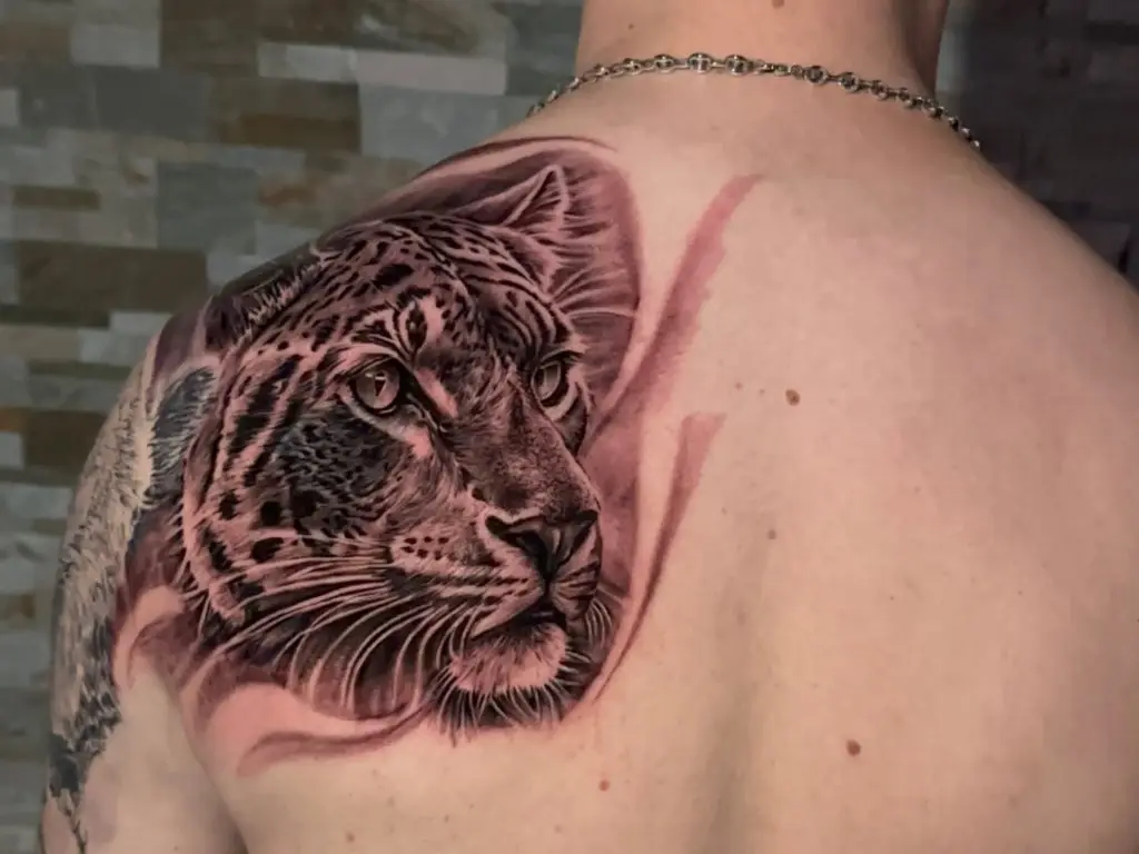 Cover d'un ancien tatouage