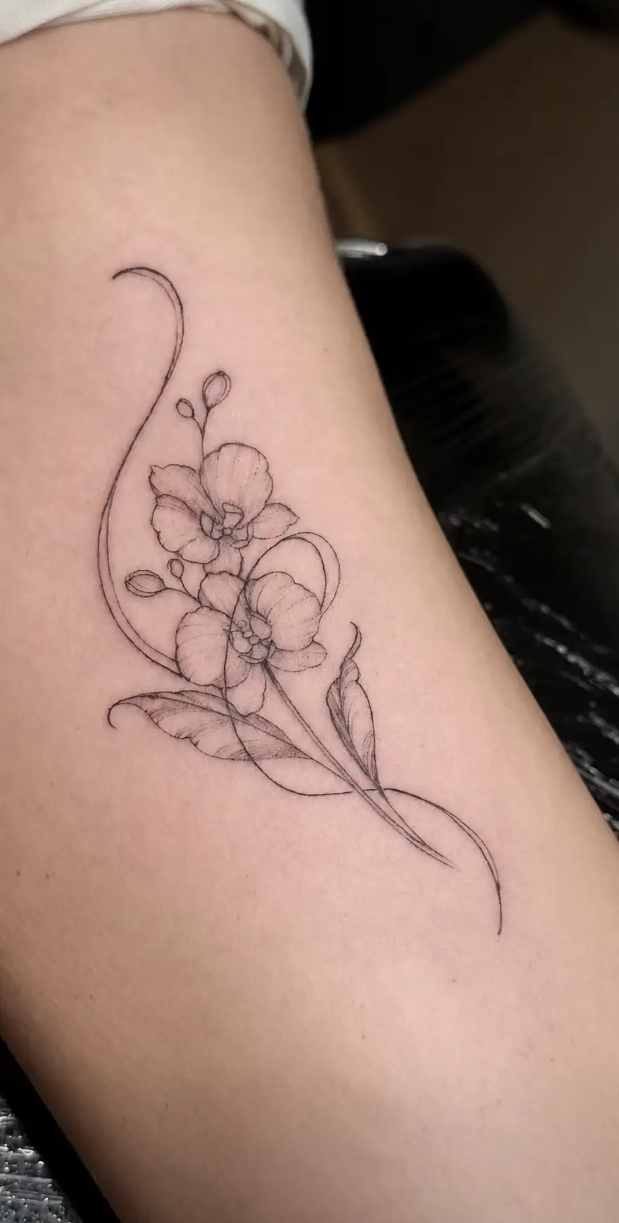 Tatouage-Fine-Line-La-Fratrie-Tattoo-Nice